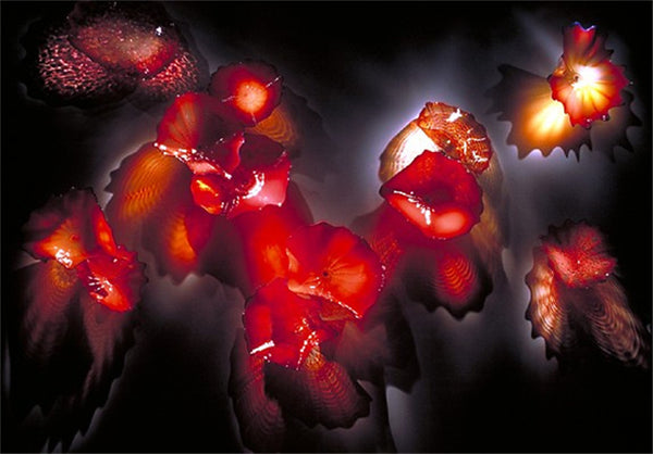 Wedding Decor Wall Lights Red Murano Glass Plate